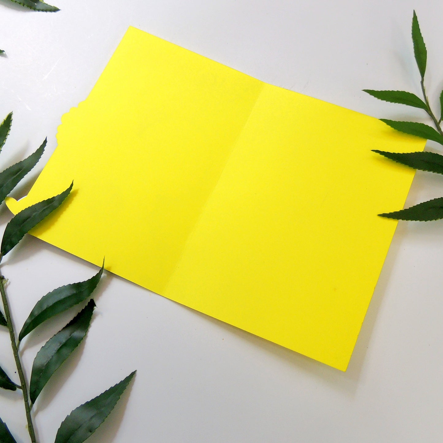 Sweet Girl Birthday Card – Little Black Girl Afro Puffs Edition