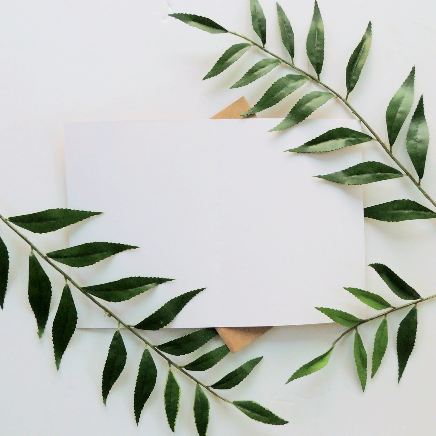 Brown African American Man Birthday Card